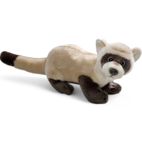 Carl dick furetto animale - dick, furetto,