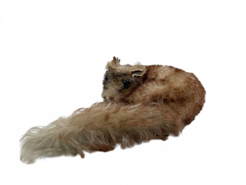 Steiff animale 2812 peluche - steiff, 2812.00