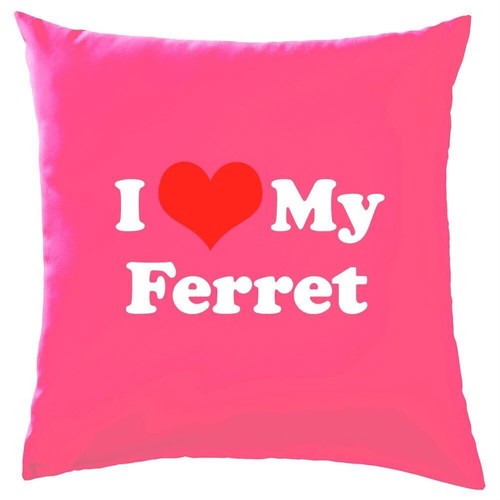 Amo mio furetto cuscino - amo,