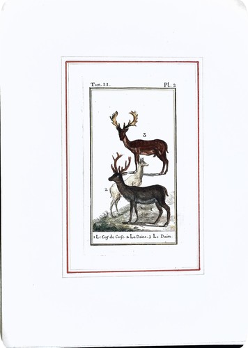 Stampa antiche epoca - antiche, '800